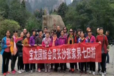 寶龍國際旅行社 開啟您的精彩旅程，專業旅游服務的不二之選